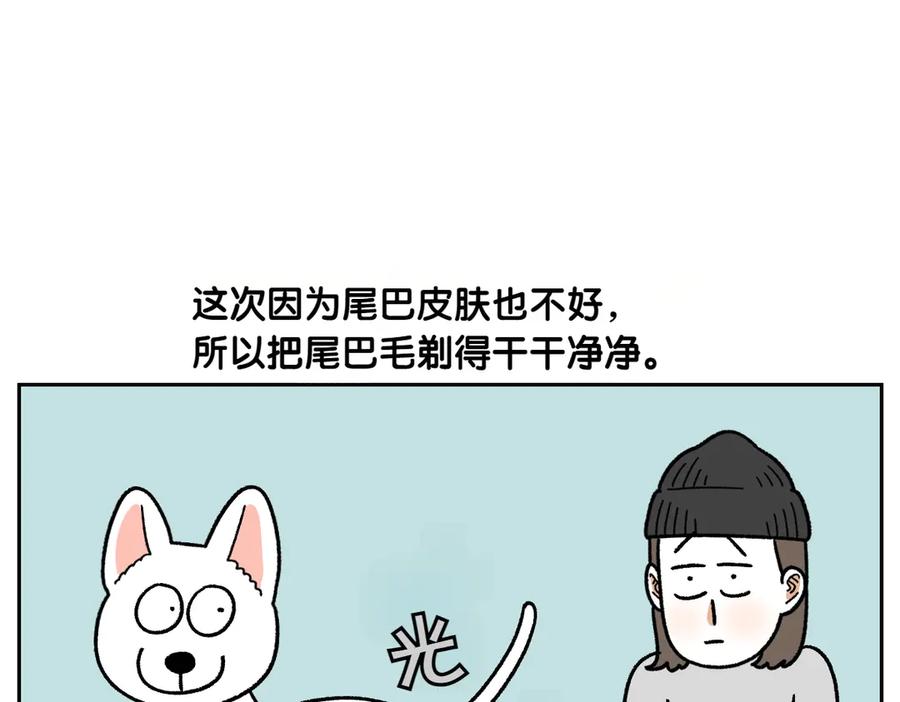 第55话鼠鼠棉花-我的狗子叫棉花-milo+Polarfox（第5张）