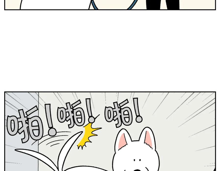 第55话鼠鼠棉花-我的狗子叫棉花-milo+Polarfox（第10张）