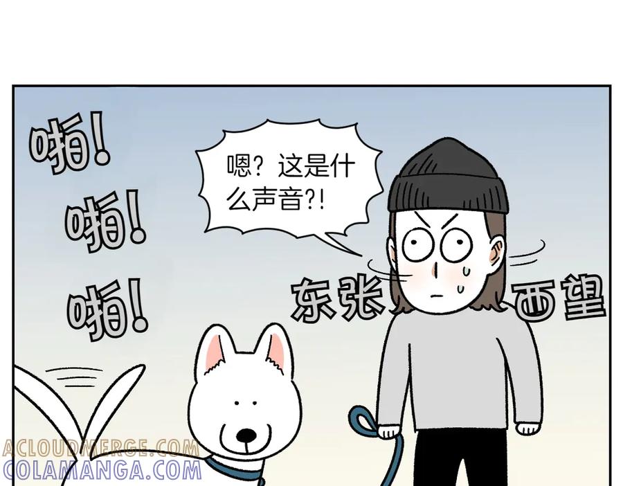 第55话鼠鼠棉花-我的狗子叫棉花-milo+Polarfox（第9张）