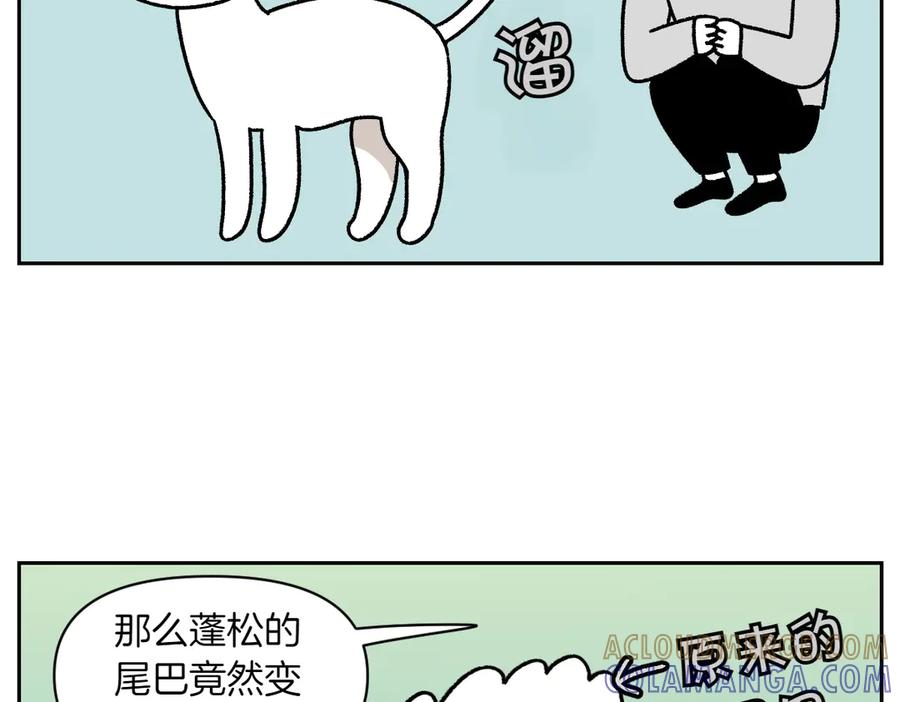 第55话鼠鼠棉花-我的狗子叫棉花-milo+Polarfox（第6张）