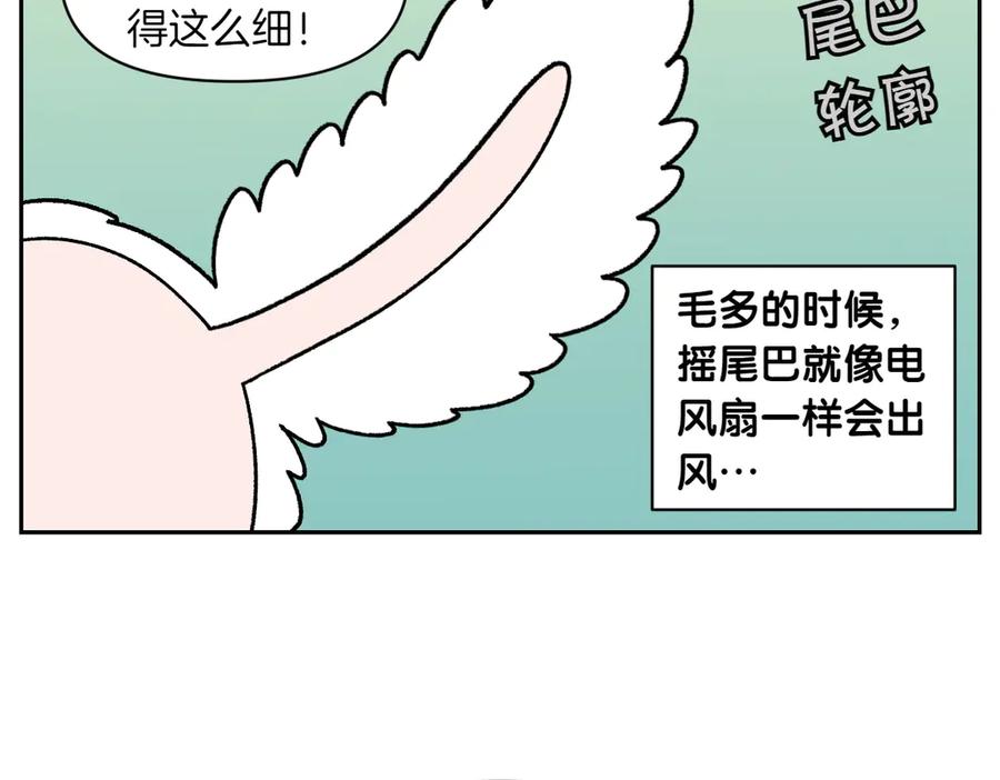 第55话鼠鼠棉花-我的狗子叫棉花-milo+Polarfox（第7张）