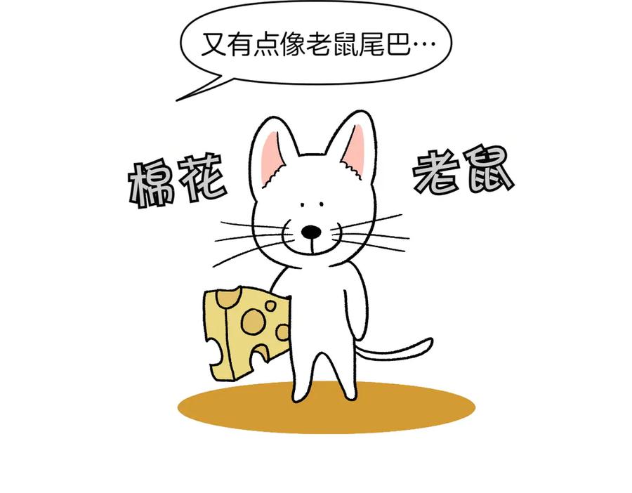 第55话鼠鼠棉花-我的狗子叫棉花-milo+Polarfox（第8张）