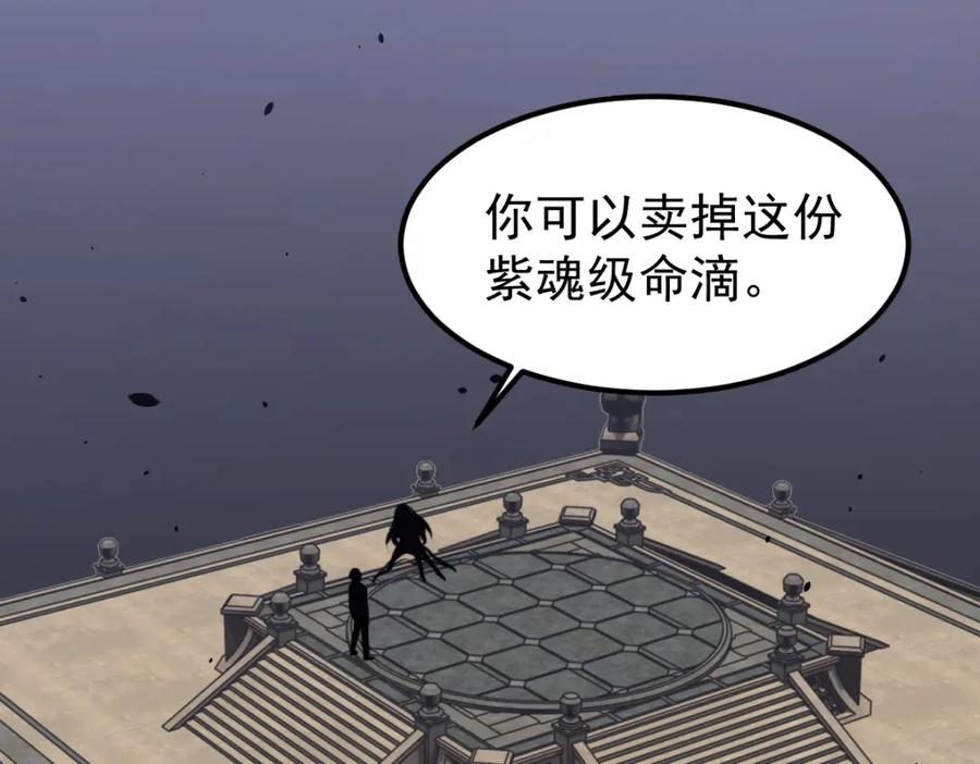 206.jpg