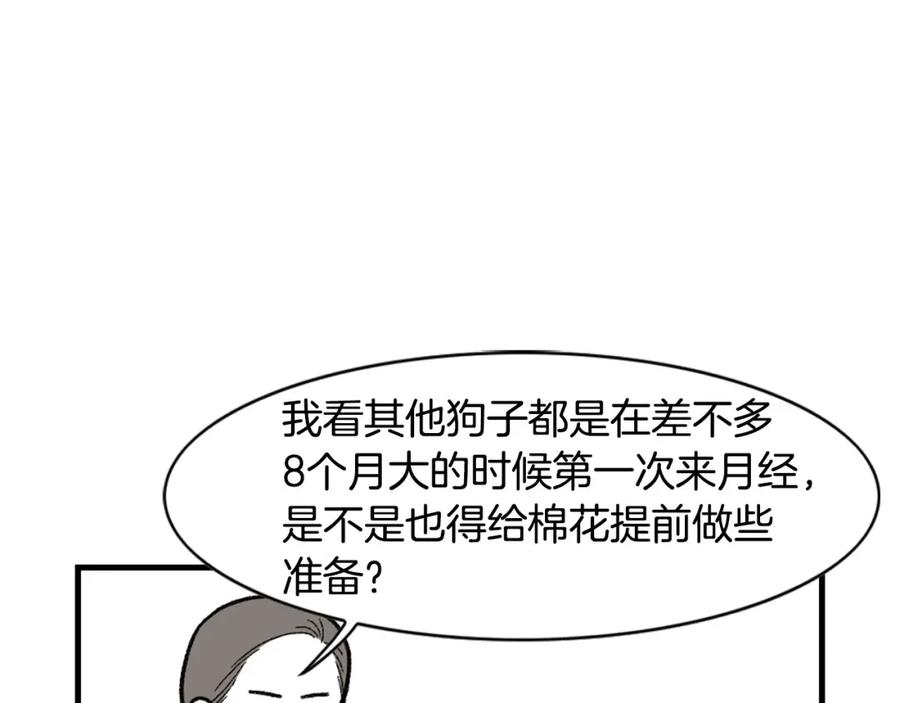 第43话狗狗的例假-我的狗子叫棉花-milo+Polarfox（第4张）