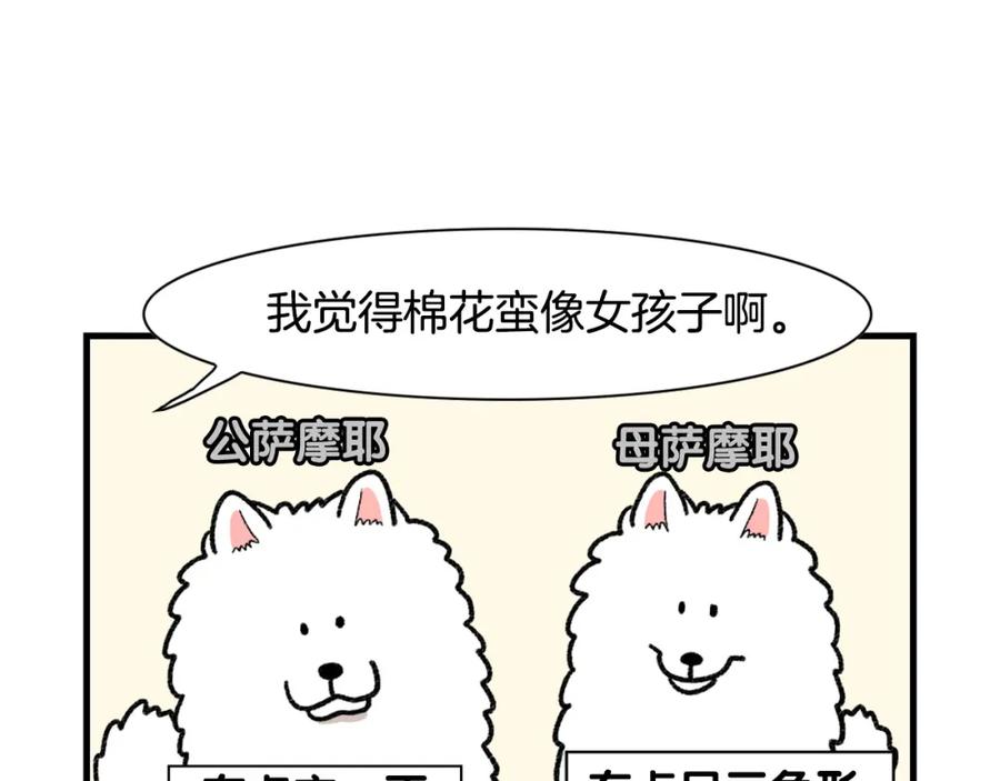 第43话狗狗的例假-我的狗子叫棉花-milo+Polarfox（第11张）