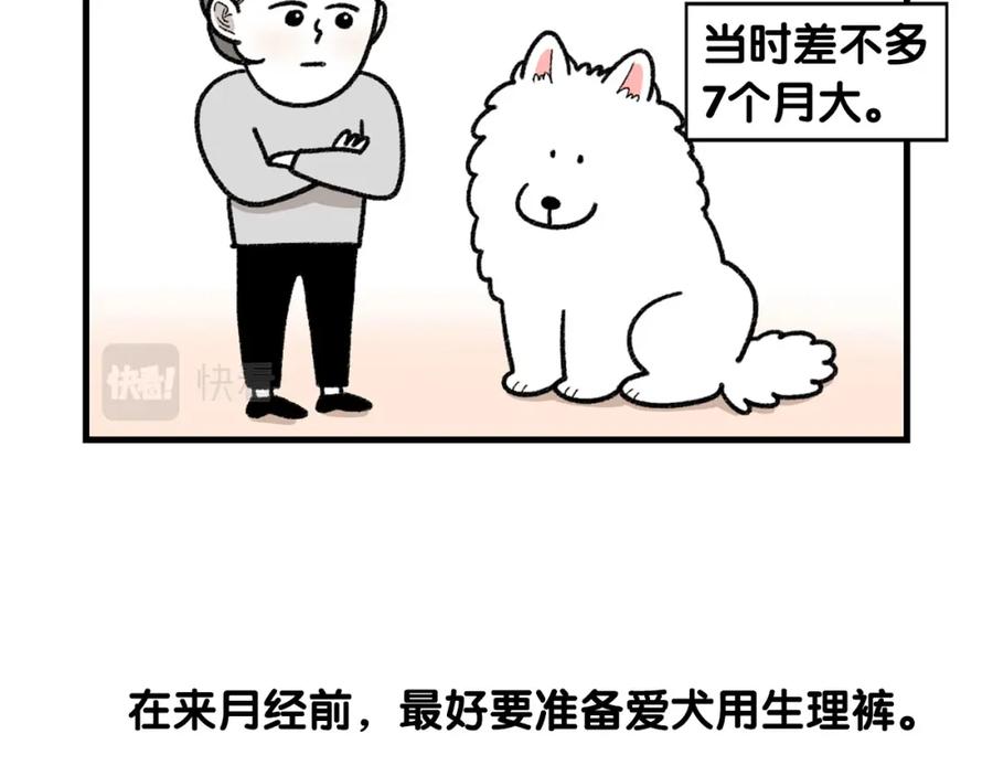 第43话狗狗的例假-我的狗子叫棉花-milo+Polarfox（第5张）