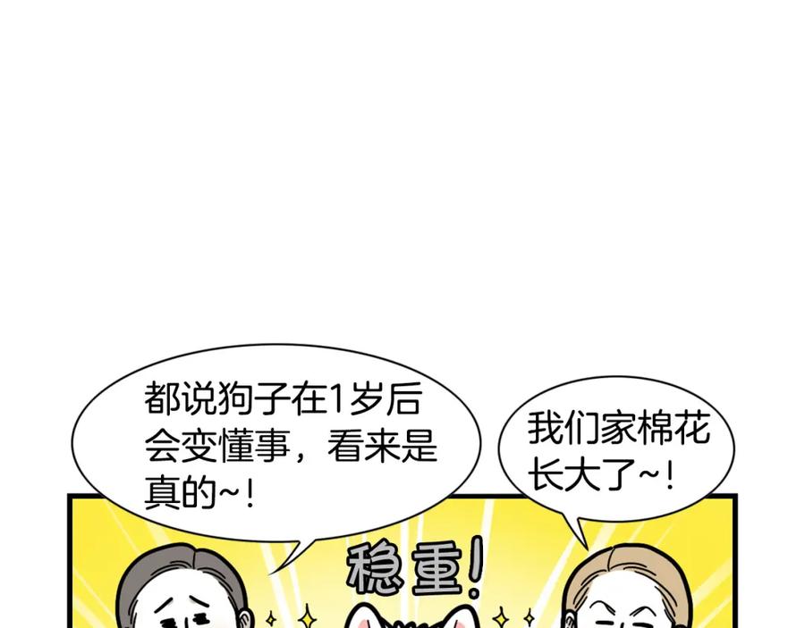 第44话母爱-我的狗子叫棉花-milo+Polarfox（第10张）