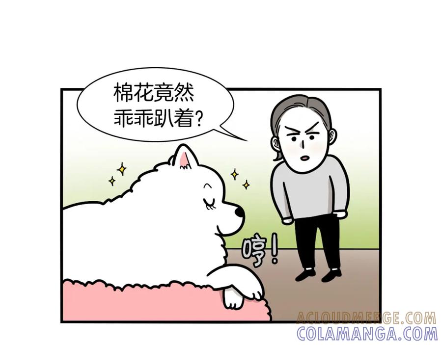 第44话母爱-我的狗子叫棉花-milo+Polarfox（第6张）