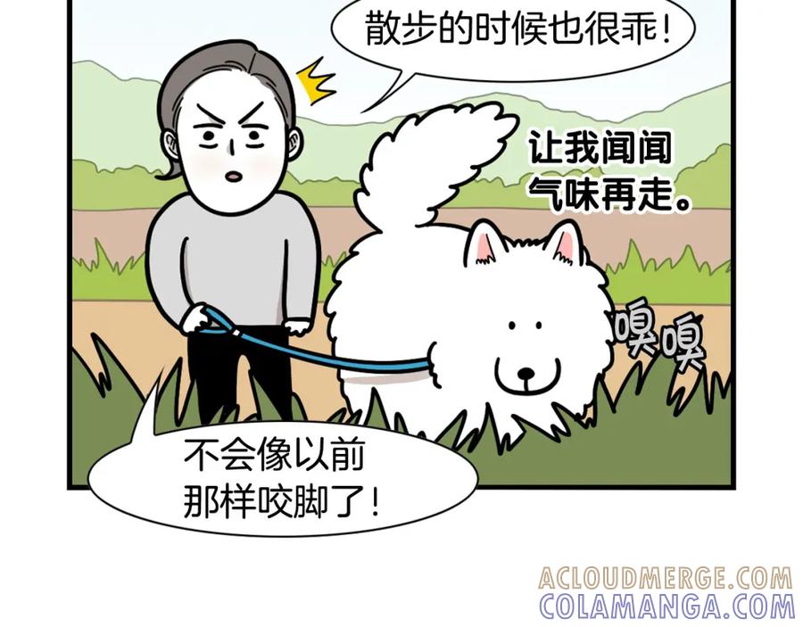 第44话母爱-我的狗子叫棉花-milo+Polarfox（第9张）