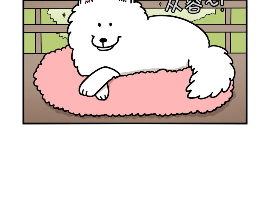 第44话母爱-我的狗子叫棉花-milo+Polarfox（第5张）