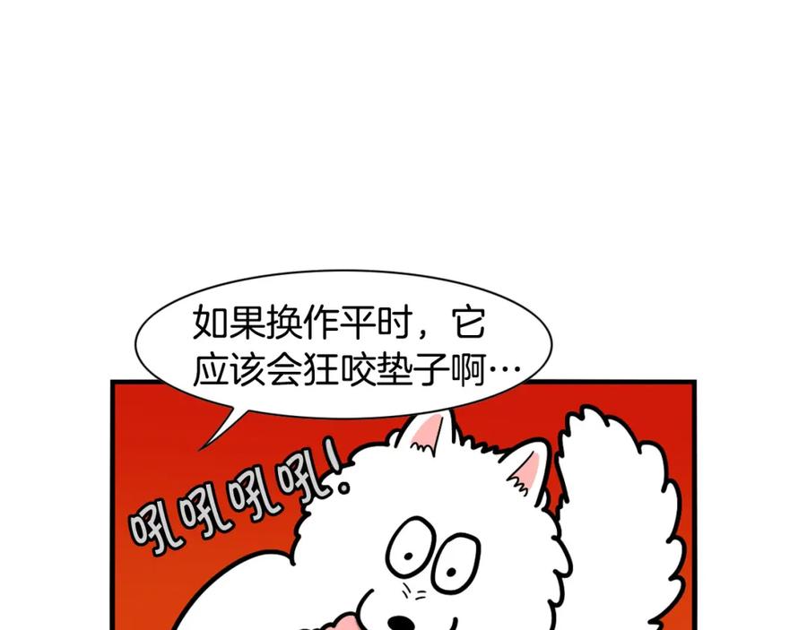 第44话母爱-我的狗子叫棉花-milo+Polarfox（第7张）