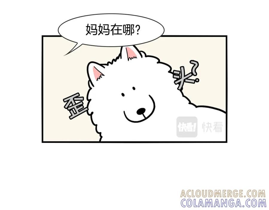 第45话莫名亲昵-我的狗子叫棉花-milo+Polarfox（第6张）