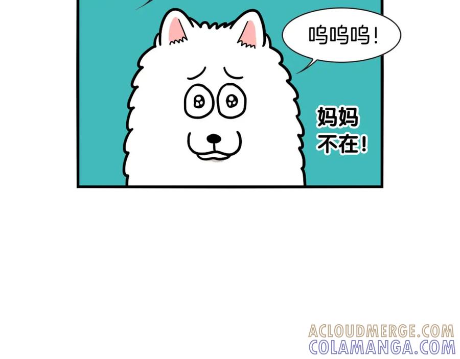 第45话莫名亲昵-我的狗子叫棉花-milo+Polarfox（第9张）