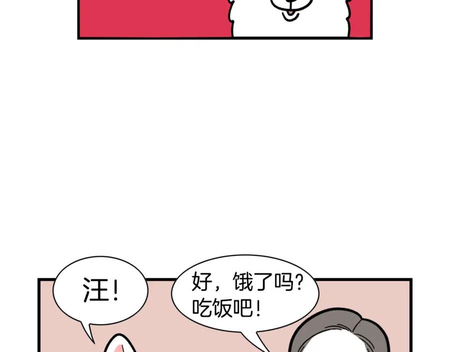 第46话听不懂话？-我的狗子叫棉花-milo+Polarfox（第5张）