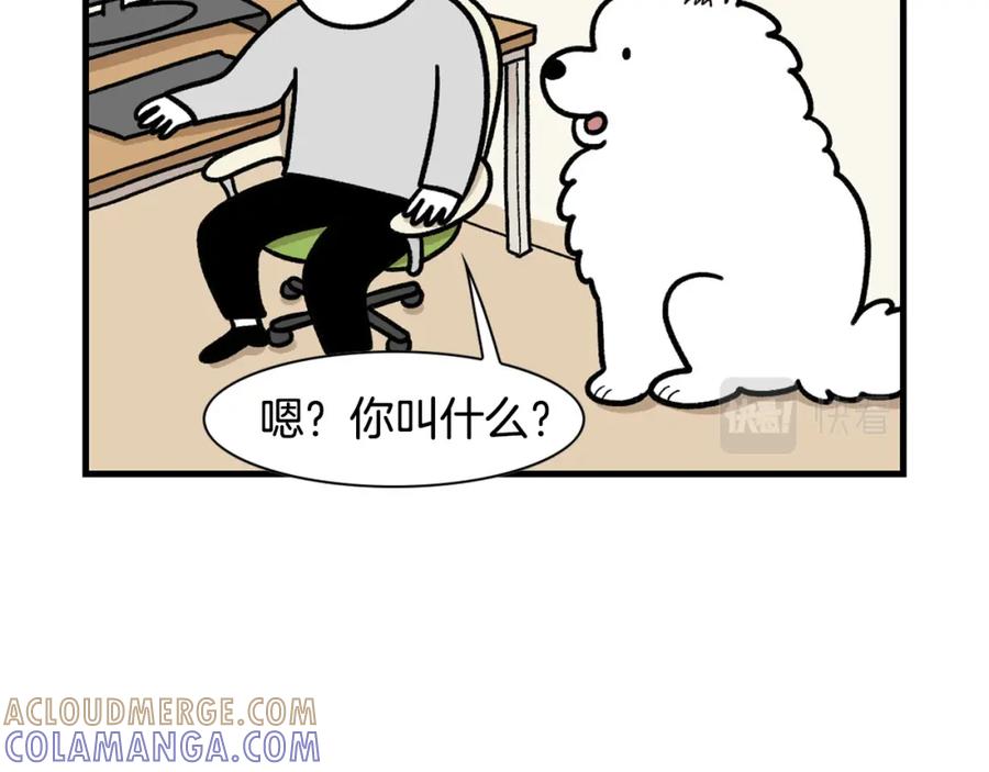 第46话听不懂话？-我的狗子叫棉花-milo+Polarfox（第9张）