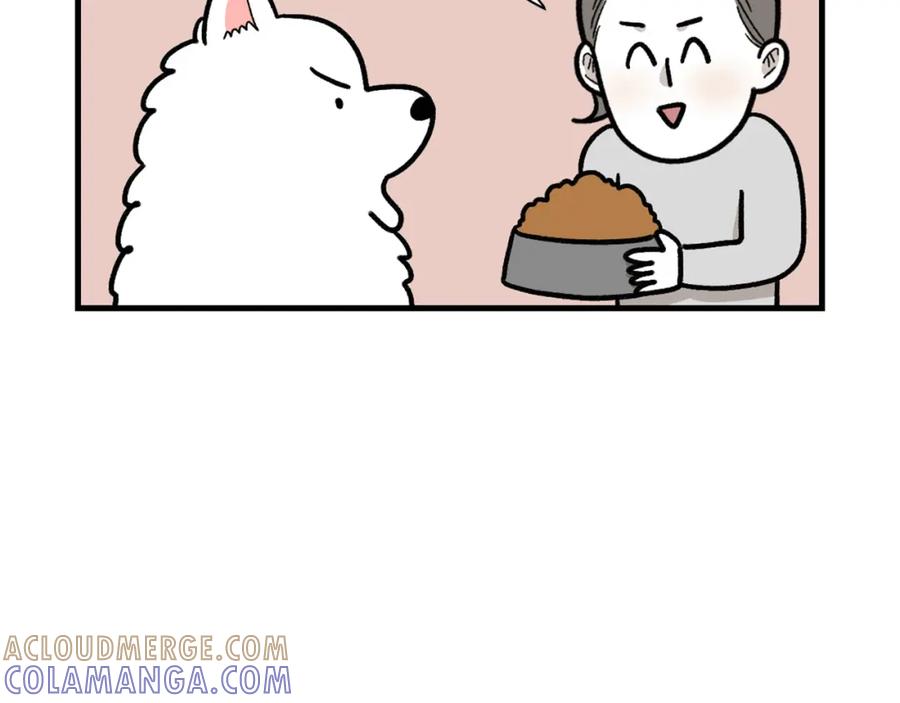 第46话听不懂话？-我的狗子叫棉花-milo+Polarfox（第6张）