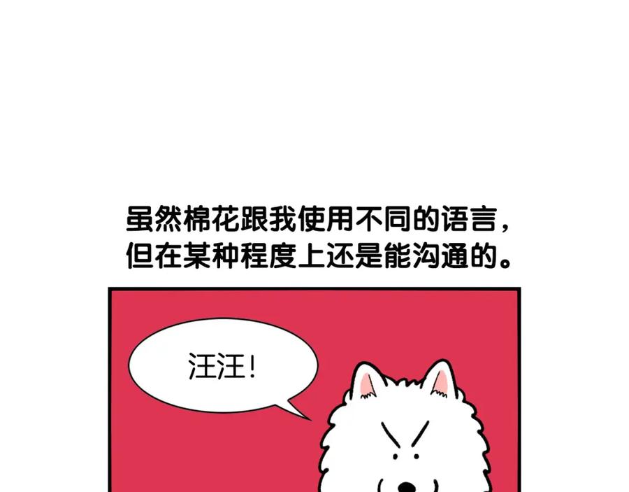 第46话听不懂话？-我的狗子叫棉花-milo+Polarfox（第4张）