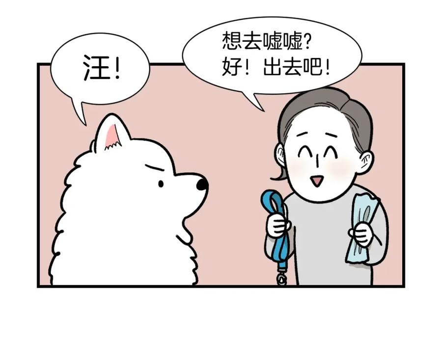 第46话听不懂话？-我的狗子叫棉花-milo+Polarfox（第7张）