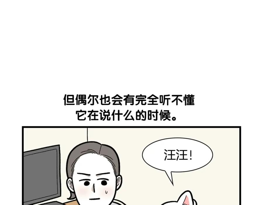 第46话听不懂话？-我的狗子叫棉花-milo+Polarfox（第8张）