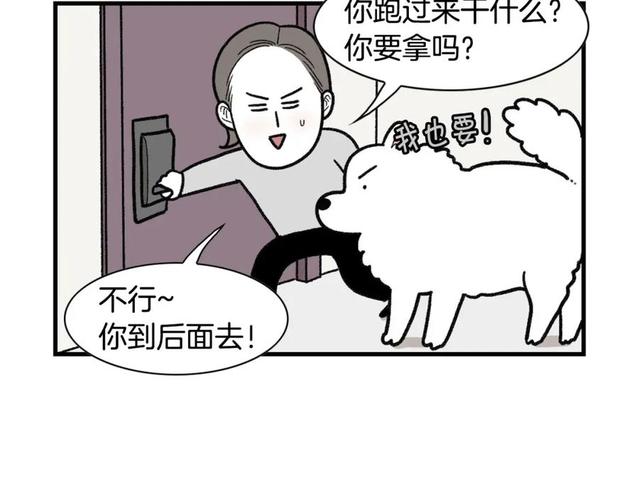 第47话控制住寄几啊！-我的狗子叫棉花-milo+Polarfox（第7张）