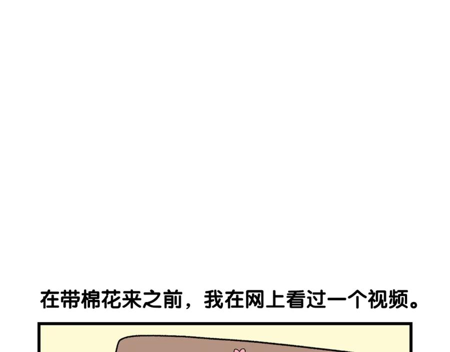 第48话如有雷同，纯…-我的狗子叫棉花-milo+Polarfox（第4张）