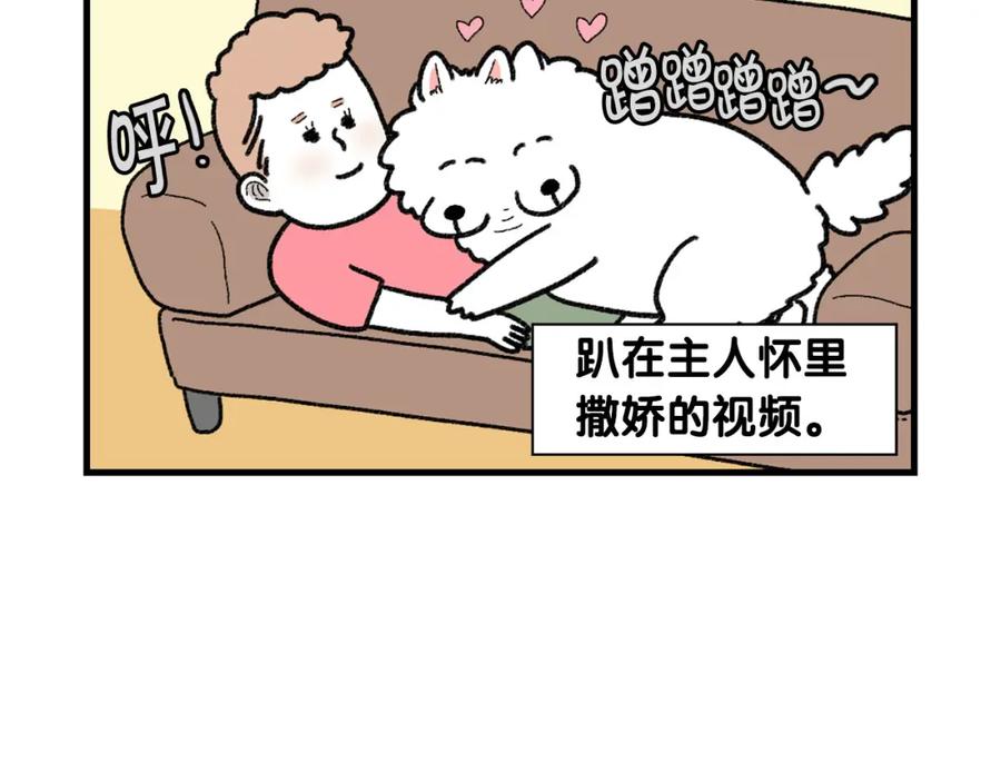 第48话如有雷同，纯…-我的狗子叫棉花-milo+Polarfox（第5张）