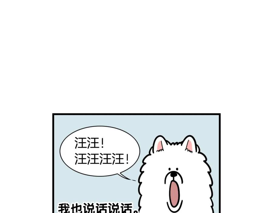 第49话超有精力-我的狗子叫棉花-milo+Polarfox（第7张）