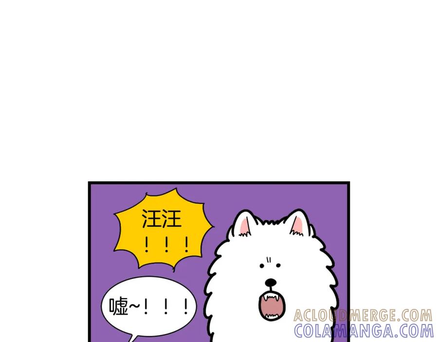 第49话超有精力-我的狗子叫棉花-milo+Polarfox（第12张）
