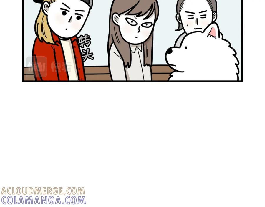 第49话超有精力-我的狗子叫棉花-milo+Polarfox（第9张）