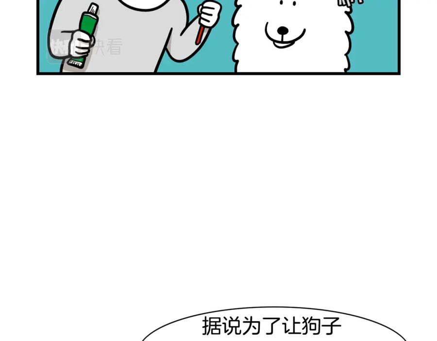 第50话刷牙示范-我的狗子叫棉花-milo+Polarfox（第11张）