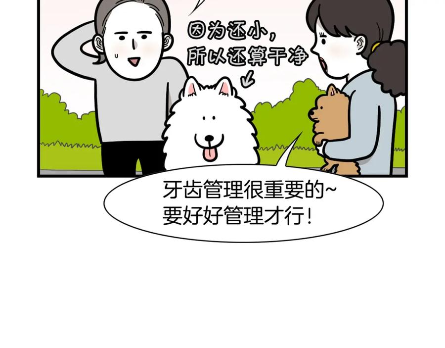 第50话刷牙示范-我的狗子叫棉花-milo+Polarfox（第7张）