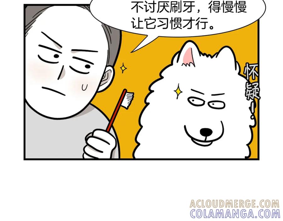 第50话刷牙示范-我的狗子叫棉花-milo+Polarfox（第12张）