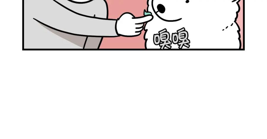 第50话刷牙示范-我的狗子叫棉花-milo+Polarfox（第14张）