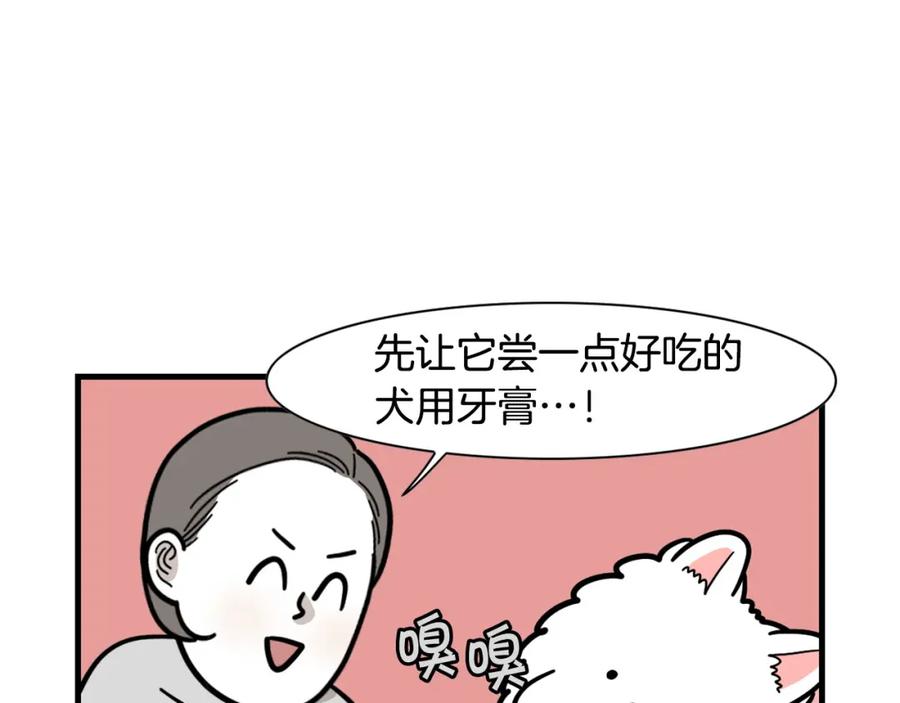 第50话刷牙示范-我的狗子叫棉花-milo+Polarfox（第13张）
