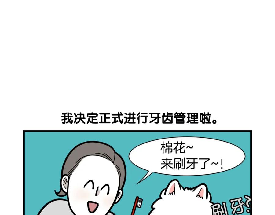 第50话刷牙示范-我的狗子叫棉花-milo+Polarfox（第10张）