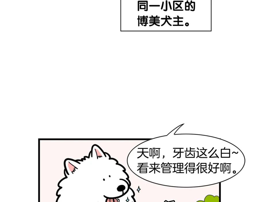 第50话刷牙示范-我的狗子叫棉花-milo+Polarfox（第5张）