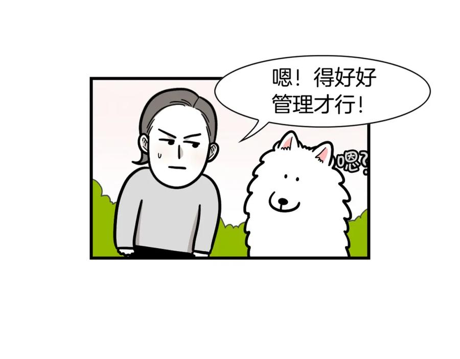 第50话刷牙示范-我的狗子叫棉花-milo+Polarfox（第8张）