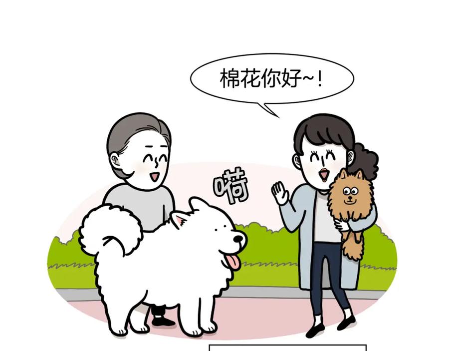 第50话刷牙示范-我的狗子叫棉花-milo+Polarfox（第4张）