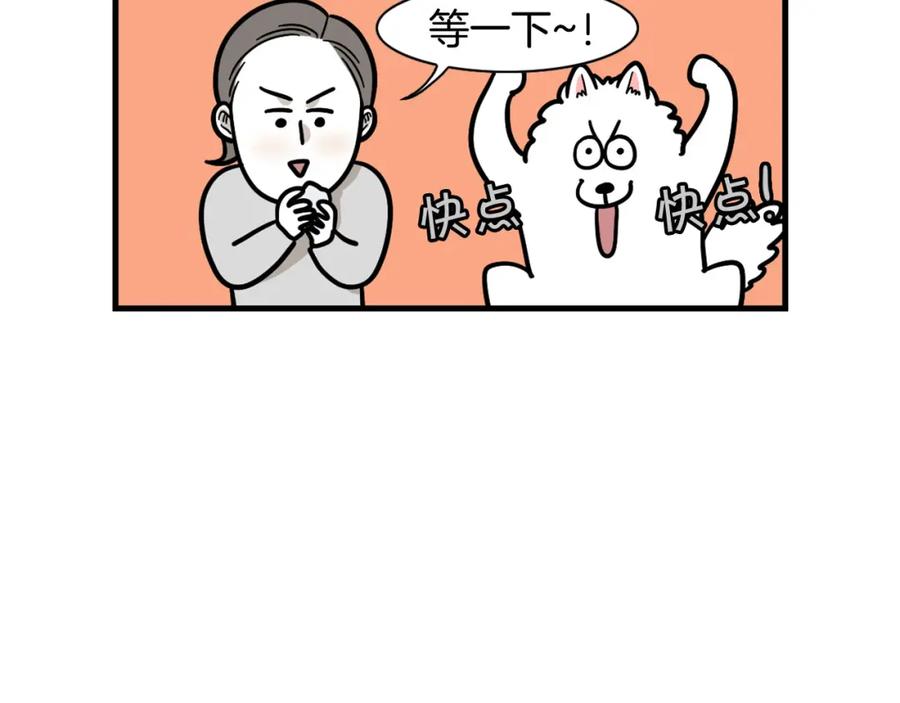 第51话嗅闻作业-我的狗子叫棉花-milo+Polarfox（第8张）