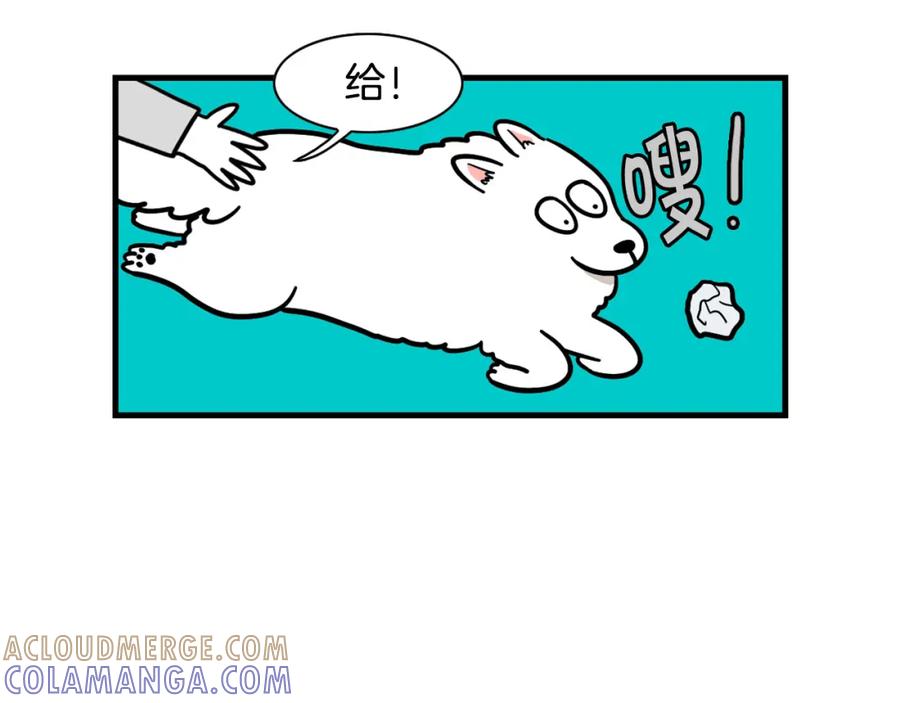 第51话嗅闻作业-我的狗子叫棉花-milo+Polarfox（第9张）