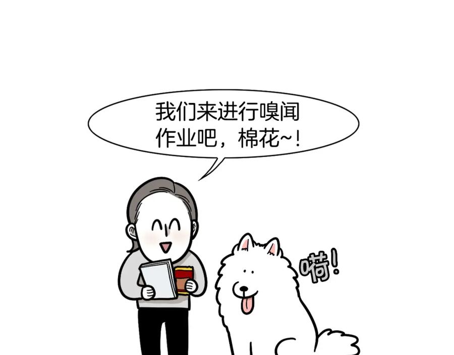 第51话嗅闻作业-我的狗子叫棉花-milo+Polarfox（第4张）