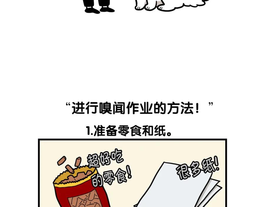 第51话嗅闻作业-我的狗子叫棉花-milo+Polarfox（第5张）