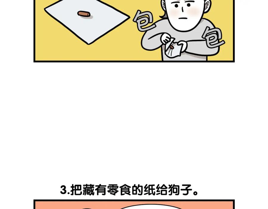 第51话嗅闻作业-我的狗子叫棉花-milo+Polarfox（第7张）