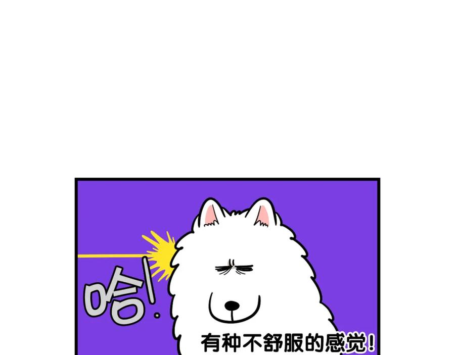 第52话呕吐的原因-我的狗子叫棉花-milo+Polarfox（第5张）