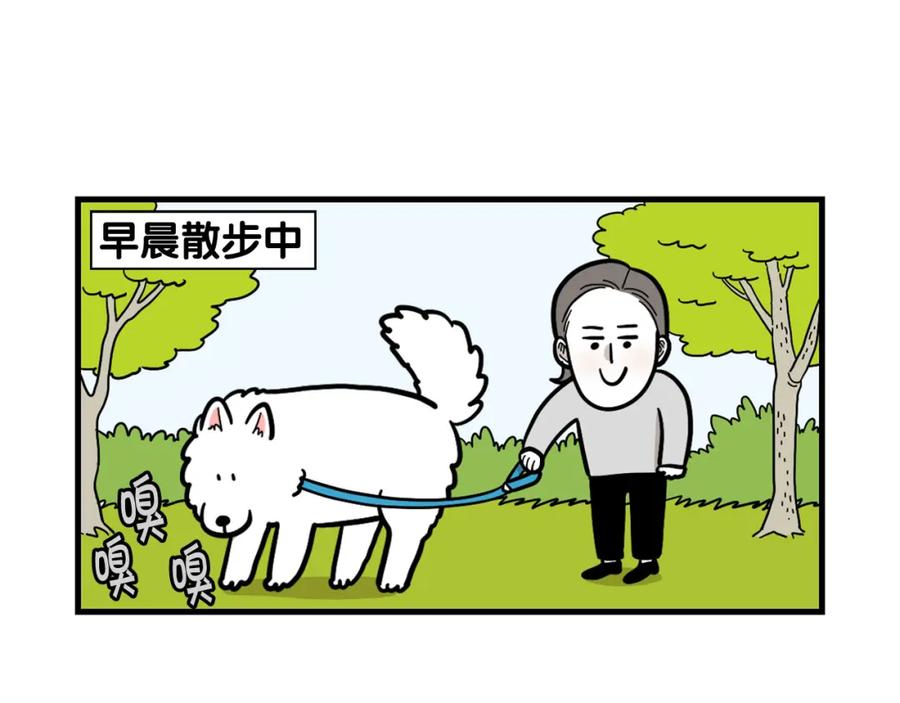 第52话呕吐的原因-我的狗子叫棉花-milo+Polarfox（第4张）