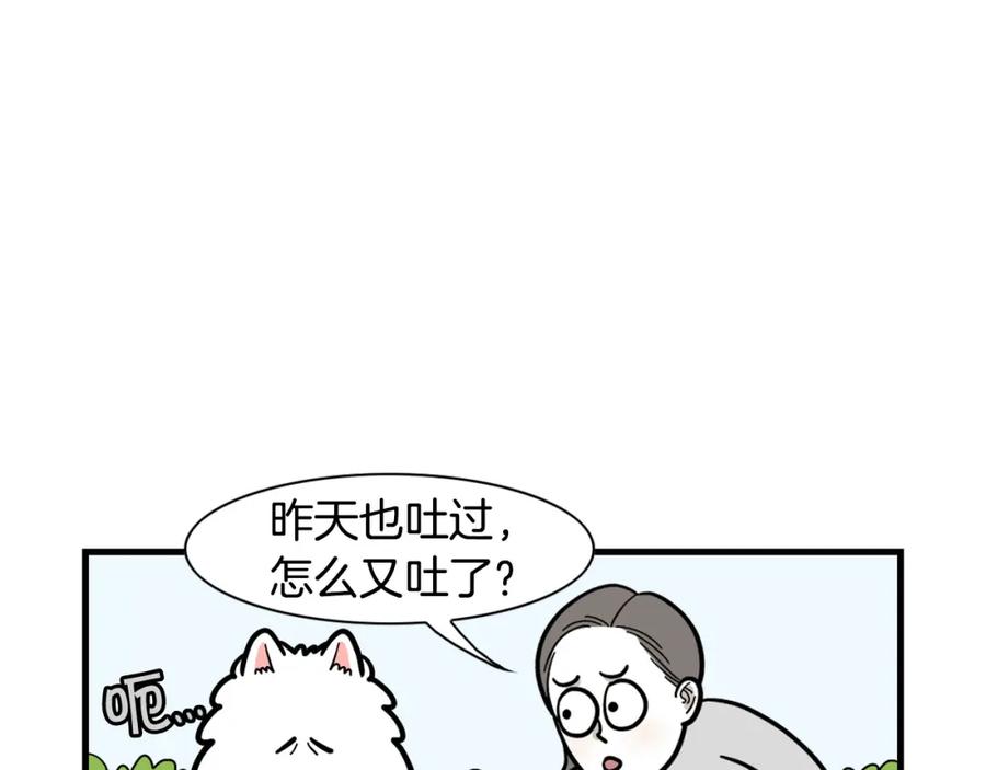 第52话呕吐的原因-我的狗子叫棉花-milo+Polarfox（第10张）