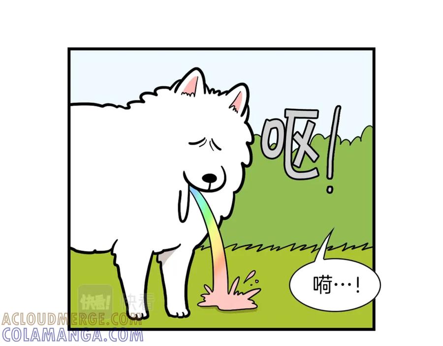第52话呕吐的原因-我的狗子叫棉花-milo+Polarfox（第9张）