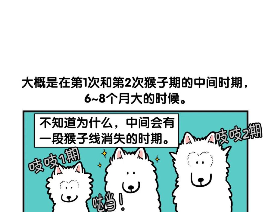 第53话狗狗训练所-我的狗子叫棉花-milo+Polarfox（第5张）