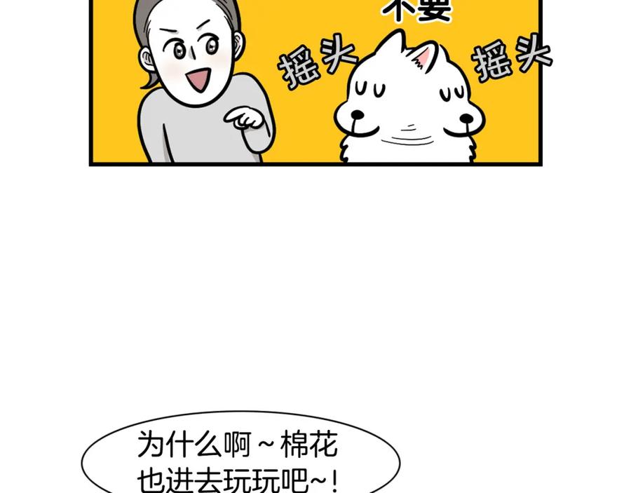 第55话社恐狗狗-我的狗子叫棉花-milo+Polarfox（第7张）