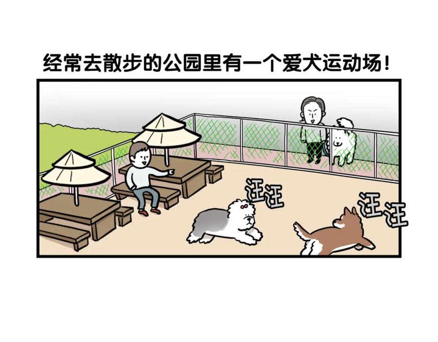 第55话社恐狗狗-我的狗子叫棉花-milo+Polarfox（第4张）